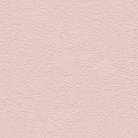 Rose 120