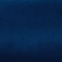 Bleu V21