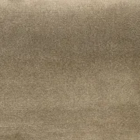 Noisette V17