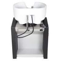 Waschsessel Topwash Eco #3