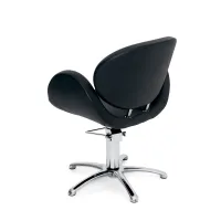Fauteuil coiffure Bowy #2
