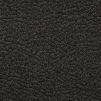 Gun Gris Foncé 112